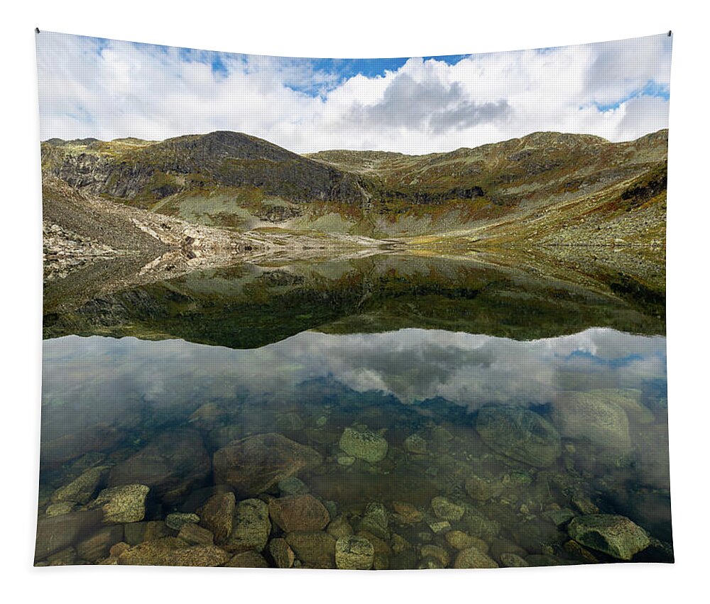 Nature Tapestry featuring the photograph Skarsvotni, Norway by Andreas Levi