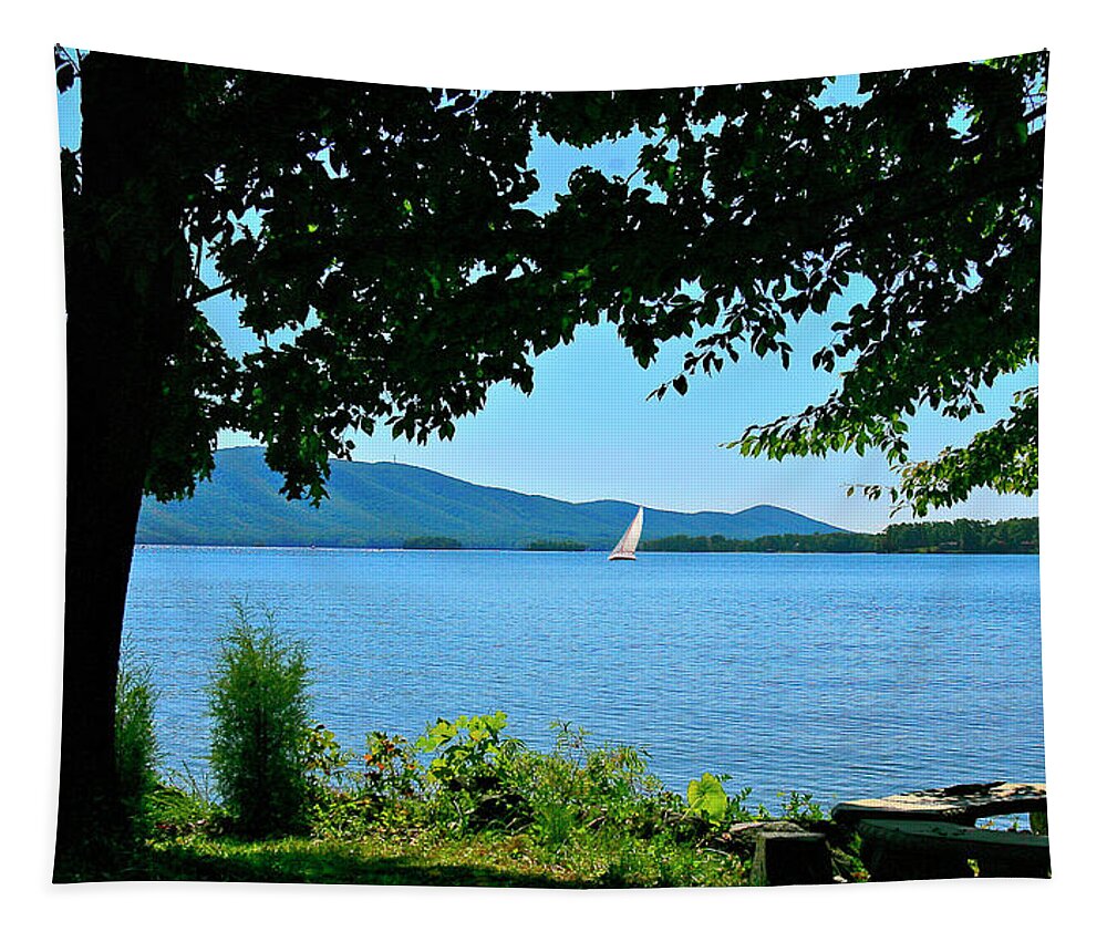 Smith Mountain Lake Sailor Tapestry featuring the photograph Smith Mountain Lake Sailor by The James Roney Collection
