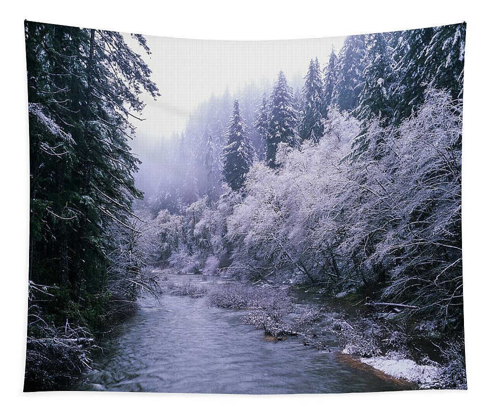 Coast Range Tapestry featuring the photograph Smith River Snow by Robert Potts