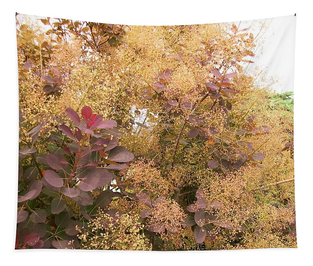 Purple Tapestry featuring the photograph Smoke Bush by Sharon Duguay