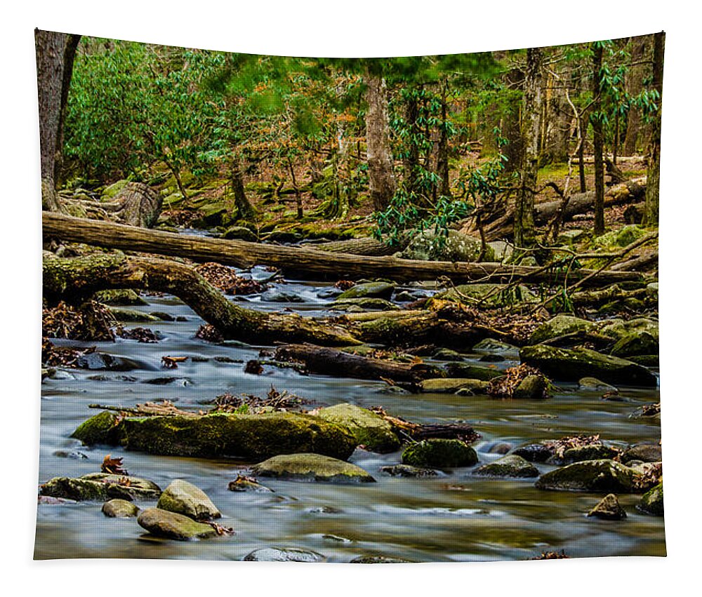 Abrams Creek Tapestry featuring the photograph Smoky Mountain Stream by Douglas Wielfaert