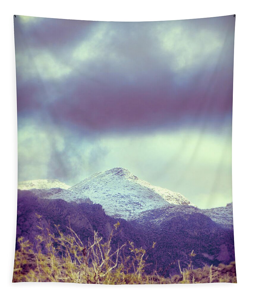 Desert Tapestry featuring the photograph Snow Capped Mountain by Jill Battaglia