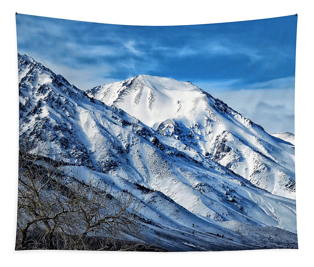 Snow Tapestry featuring the photograph Snow Capped Mountains by David Zumsteg