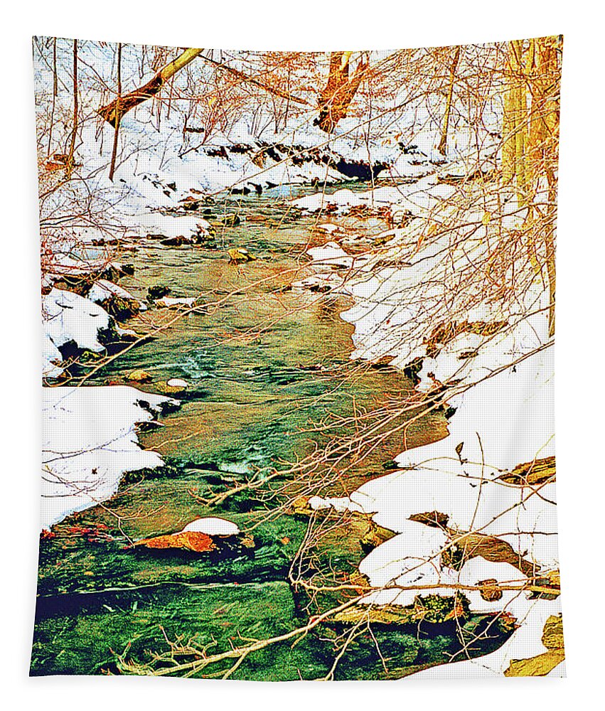 Woods Tapestry featuring the photograph Snow Covered Stream Banks Digital Art by A Macarthur Gurmankin
