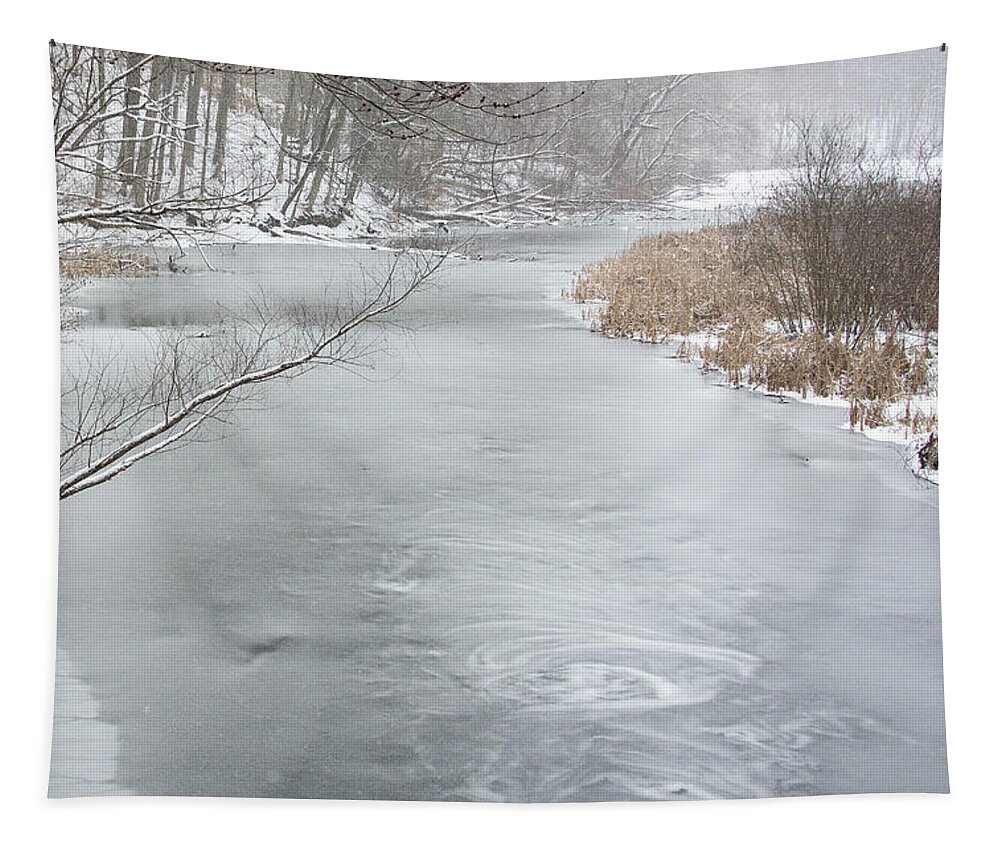 Ice Tapestry featuring the photograph Snow Storm at Lincoln Woods by Linda Bonaccorsi