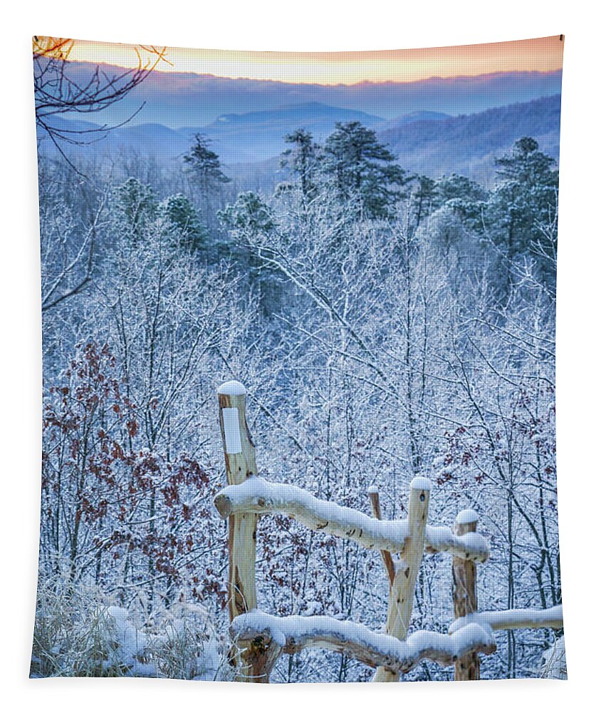 Blue Ridge Mountains Tapestry featuring the photograph Snow Trail by Joye Ardyn Durham