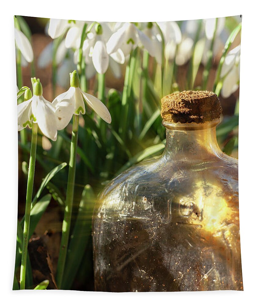 Snowdrops Tapestry featuring the photograph Snowdrop flowers and old glass jar with sunlight by Simon Bratt