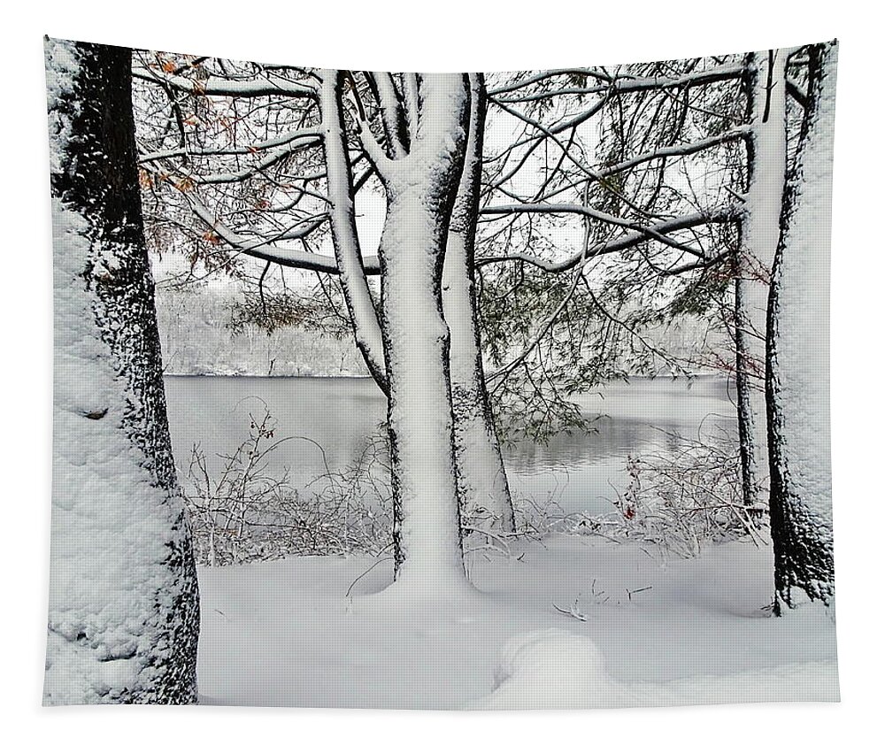Winter Tapestry featuring the photograph Snowfall in March by Lyuba Filatova