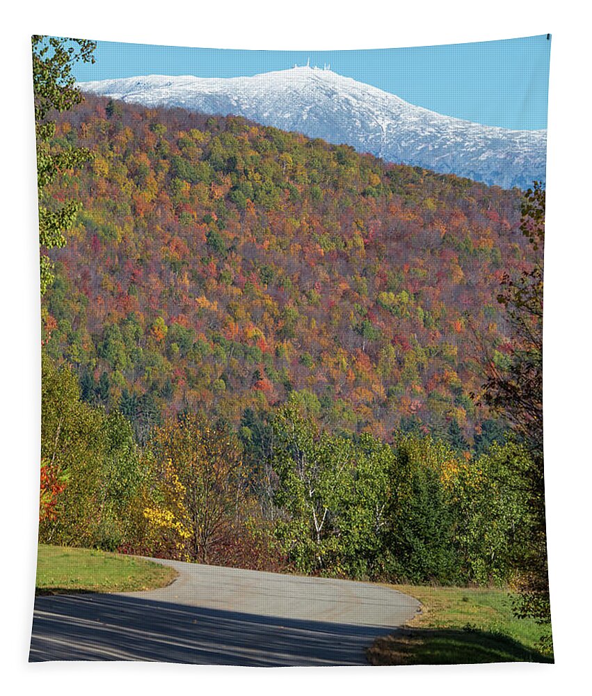 Snowy Tapestry featuring the photograph Snowy Autumn by White Mountain Images