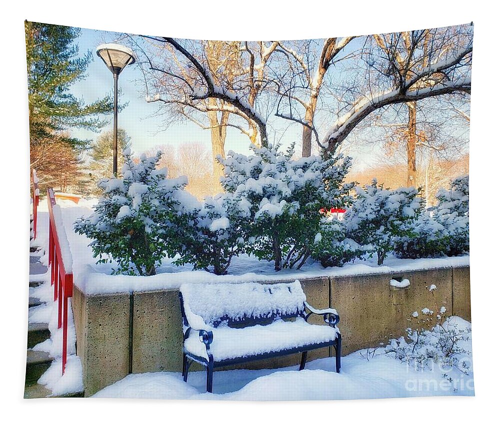 Snow Tapestry featuring the photograph Snowy Bench by Mary Capriole