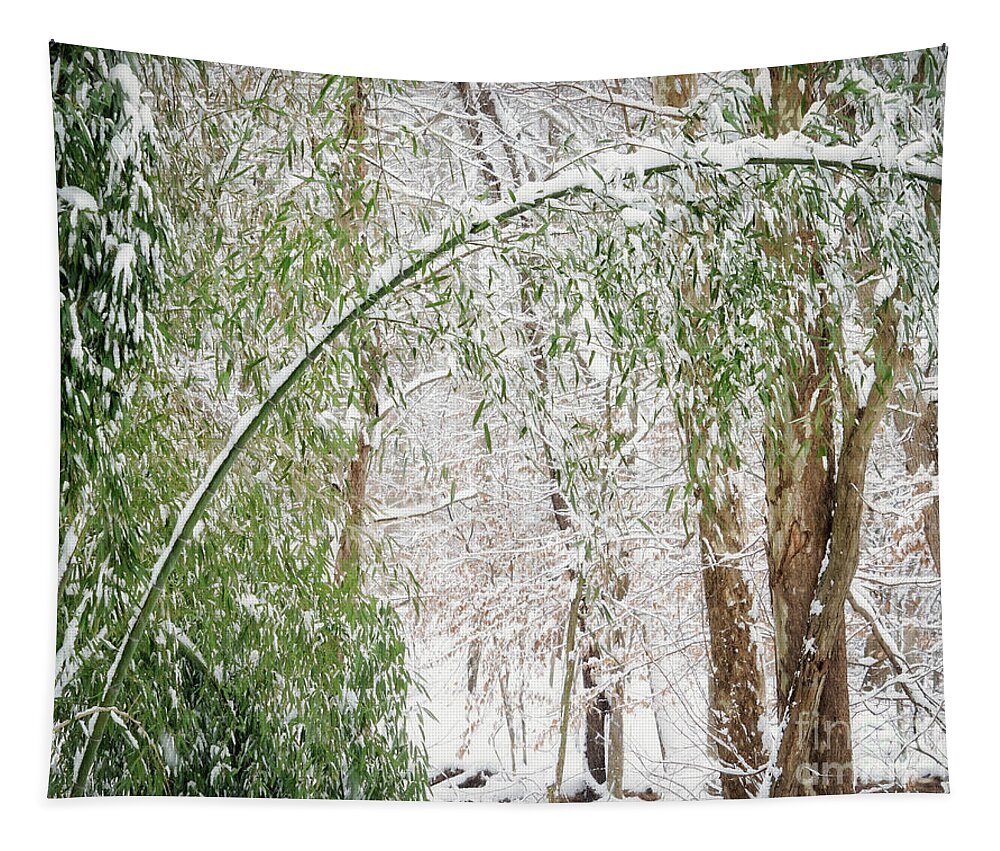 Winter Tapestry featuring the photograph Snowy park by Izet Kapetanovic