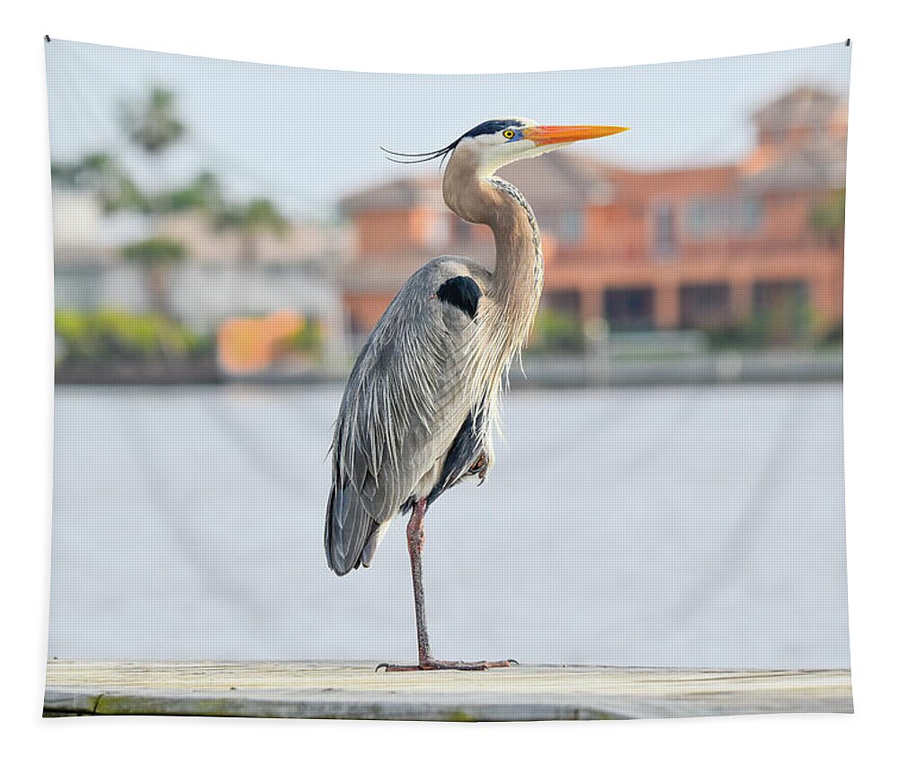 Heron Tapestry featuring the photograph Soaking up the Sun by Christopher Rice