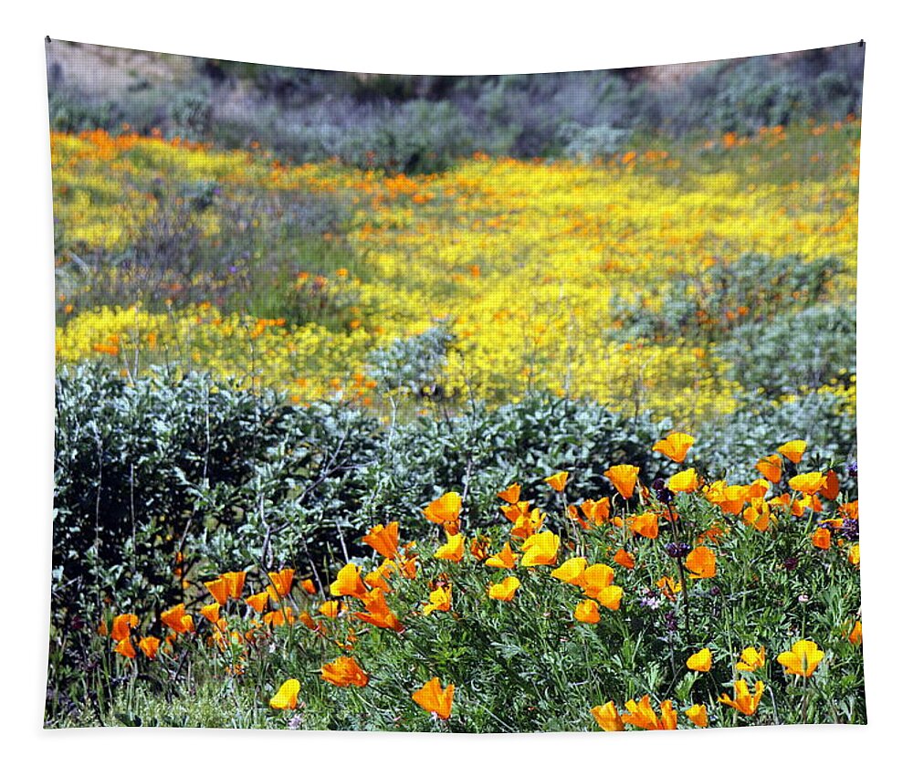 Wildflowers Tapestry featuring the photograph SoCal SuperBloom 1 Photograph by Kimberly Walker
