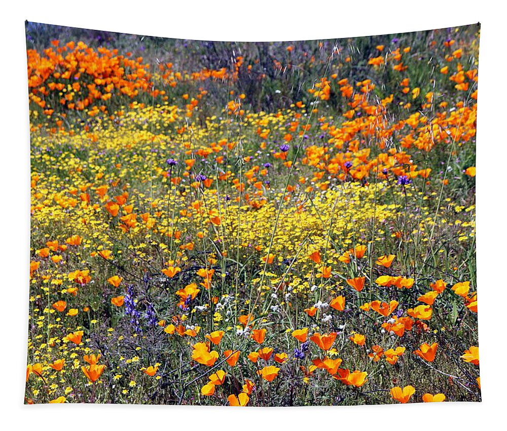 Wildflowers Tapestry featuring the photograph SoCal SuperBloom 5 Photograph by Kimberly Walker