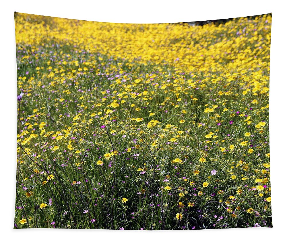 Wildflowers Tapestry featuring the photograph SoCal SuperBloom 6 Photograph by Kimberly Walker