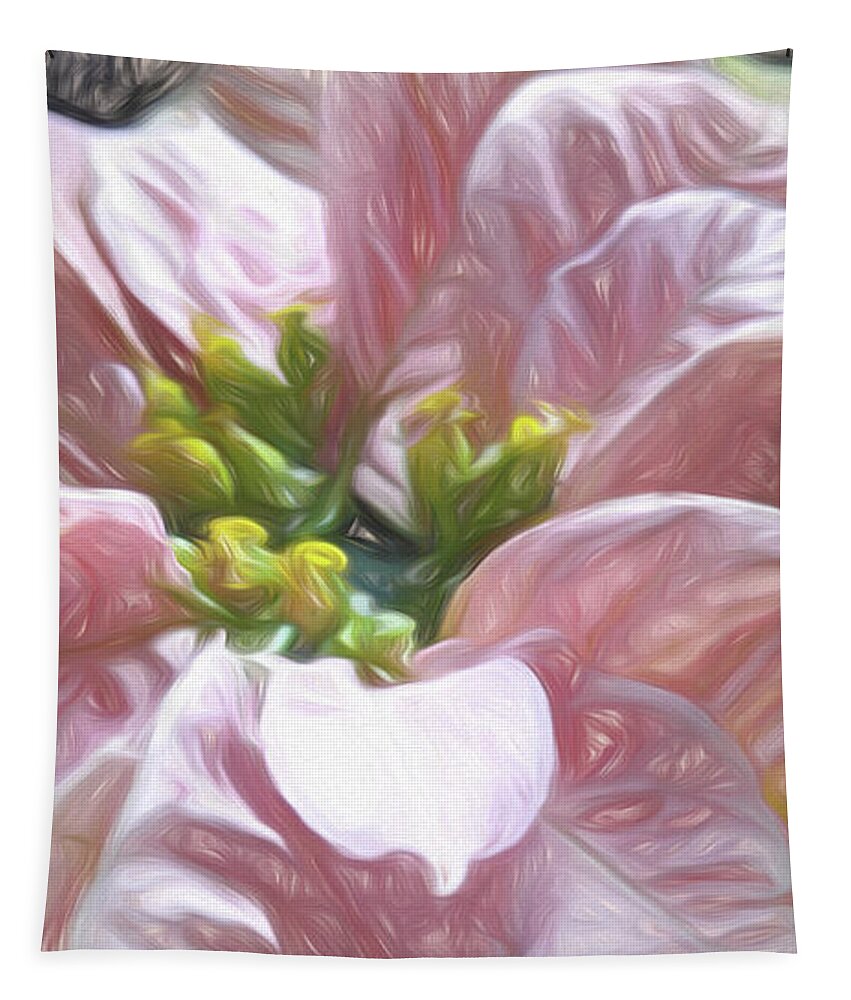 Poinsettia Tapestry featuring the photograph Soft Pink Poinsettia by Amy Dundon