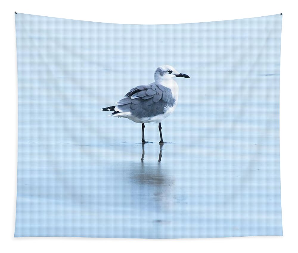 Laughing Gull Tapestry featuring the photograph Solitary Laughing Gull by Mary Ann Artz
