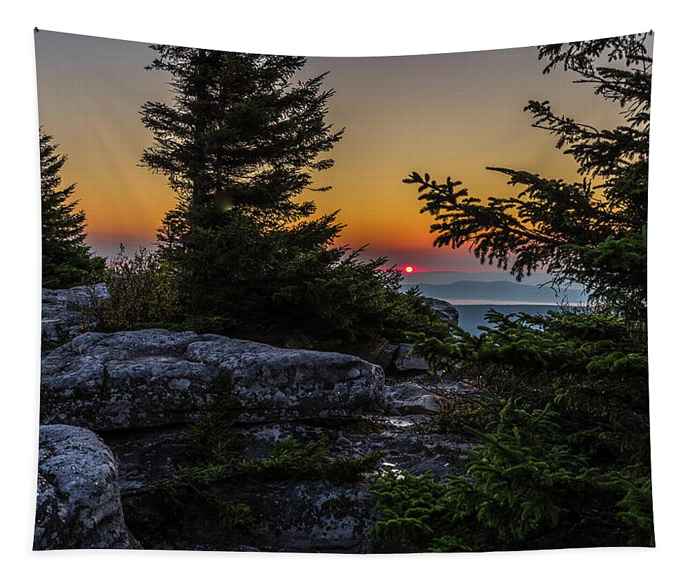 Bear Rocks Preserve Tapestry featuring the photograph Solitary Sunrise by Lori Coleman