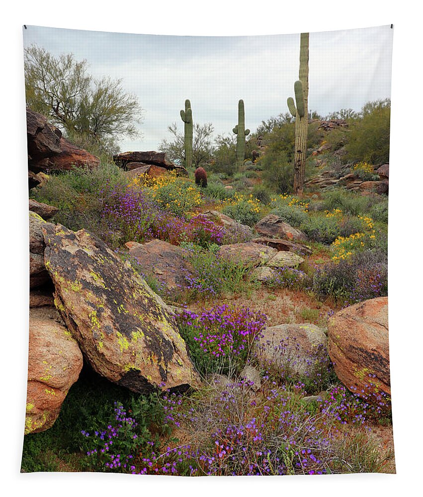 South Mountain Park Tapestry featuring the photograph South Mountain Wildflowers by David T Wilkinson