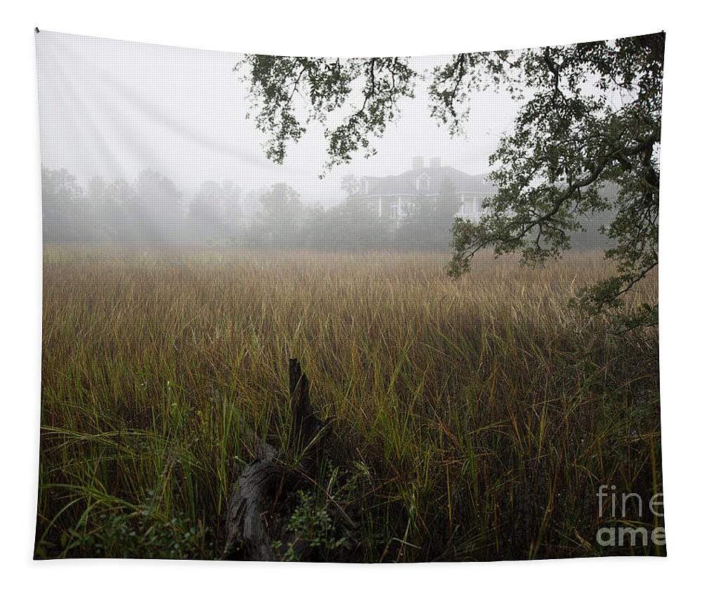 Fog Tapestry featuring the photograph Southern Exposure Fog by Dale Powell