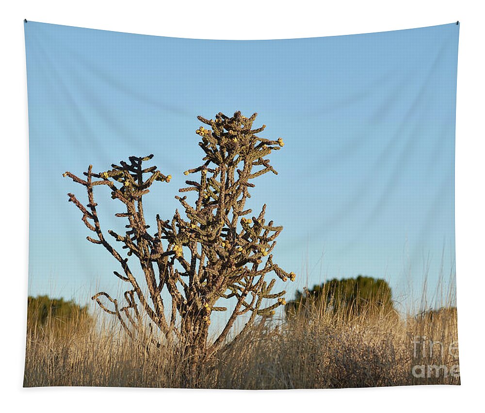 New Mexico Desert Tapestry featuring the photograph Southwest Cactus Landscape by Robert WK Clark
