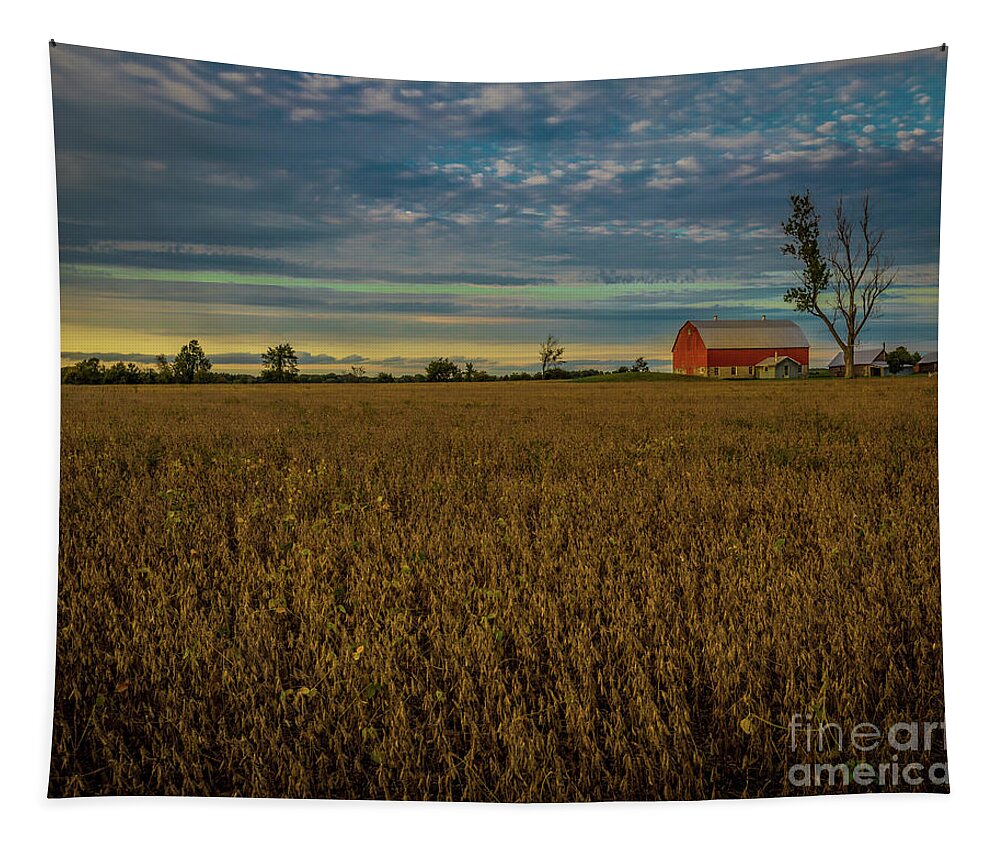 Agriculture Tapestry featuring the photograph Soybean Sunset by Roger Monahan