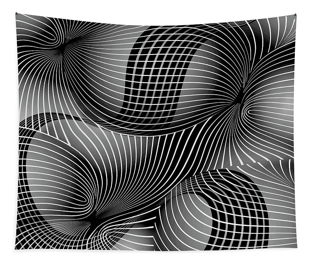 Space-time Tapestry featuring the painting Space-Time No-2, Black and White by David Arrigoni