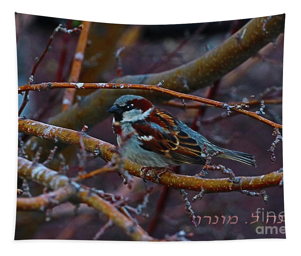Sparrow Tapestry featuring the photograph Sparrow by Donna L Munro