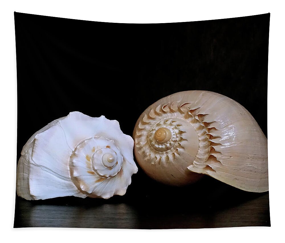  Conch Tapestry featuring the photograph Spiraling Duo 3 by Lynda Lehmann