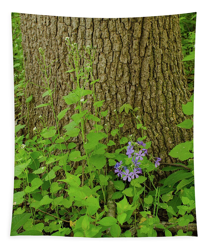 Flower Tapestry featuring the photograph Splash of Purple by Jeff Phillippi