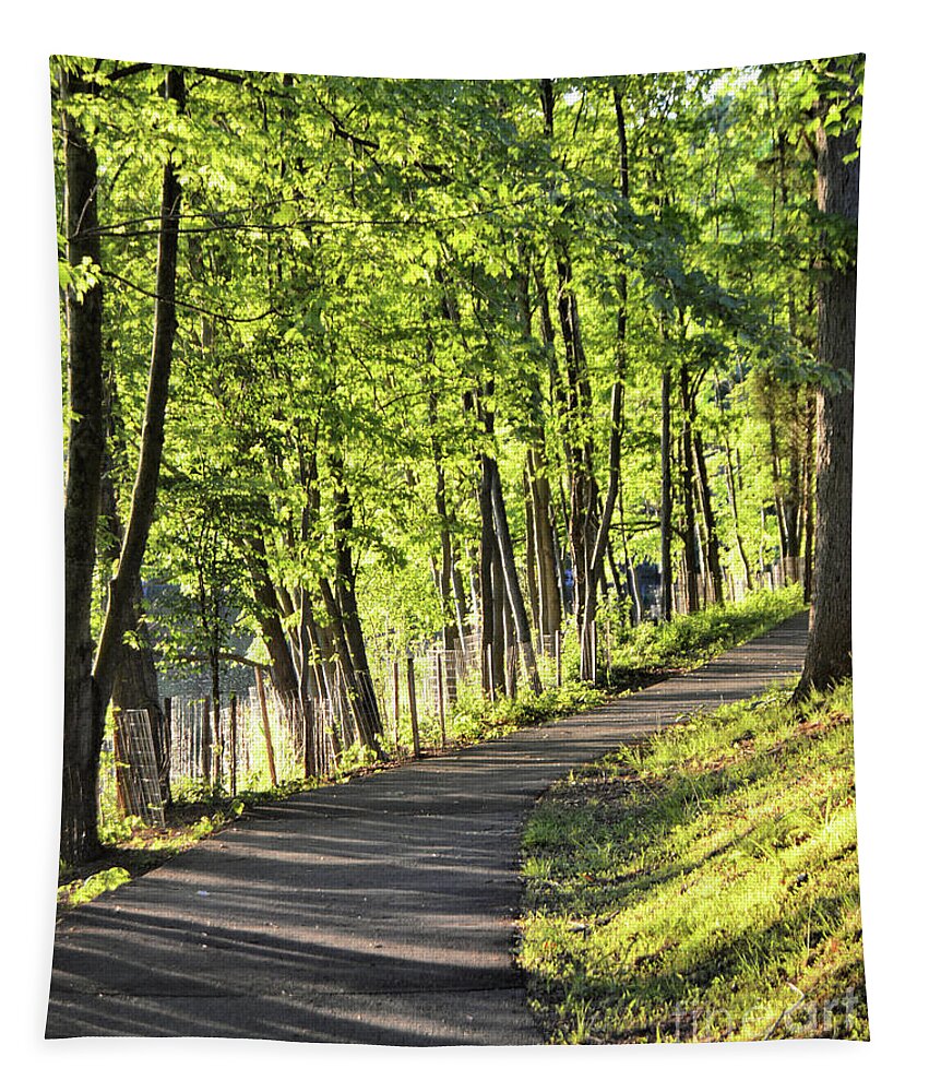 Walking Path Tapestry featuring the photograph Spring Awakening by Kathy Kelly
