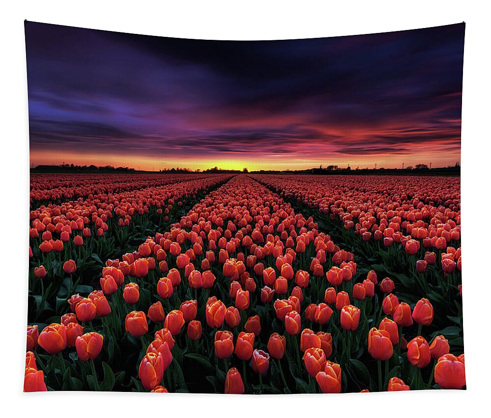 Landscape Tapestry featuring the photograph Spring blossoms by Jorge Maia