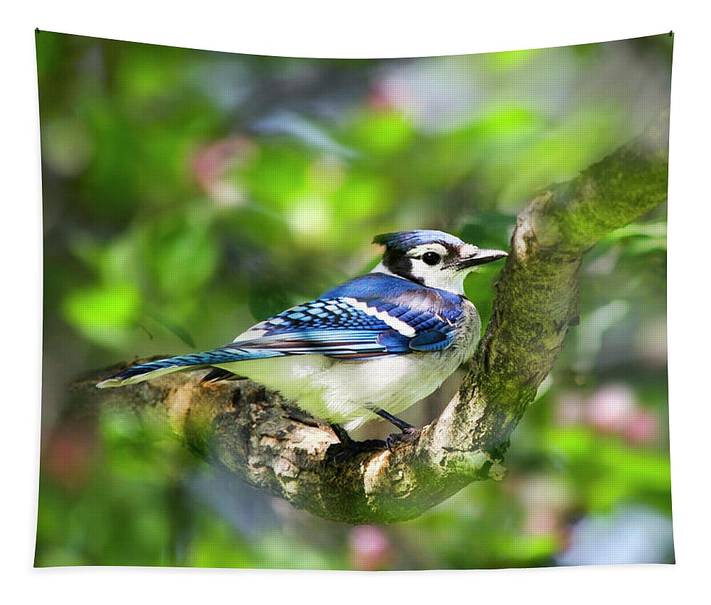 Blue Jay Tapestry featuring the photograph Spring Blue Jay by Christina Rollo