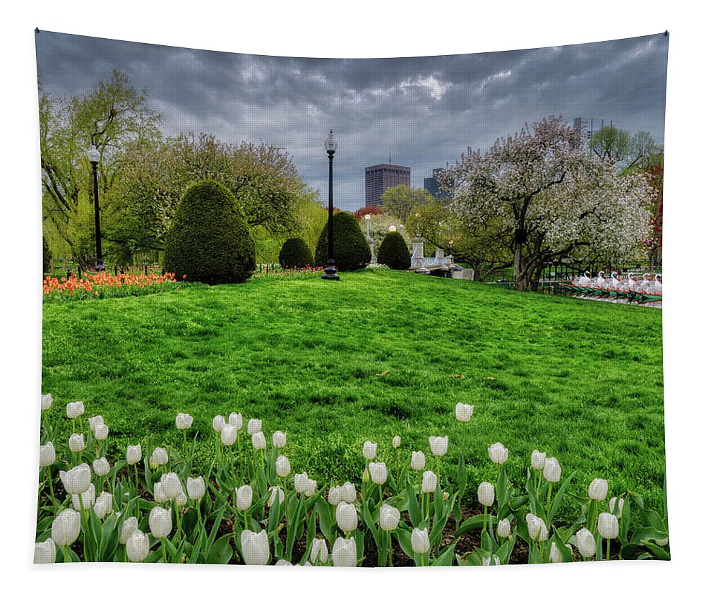 Boston Public Garden Tapestry featuring the photograph Spring, Boston Public Garden by Michael Hubley