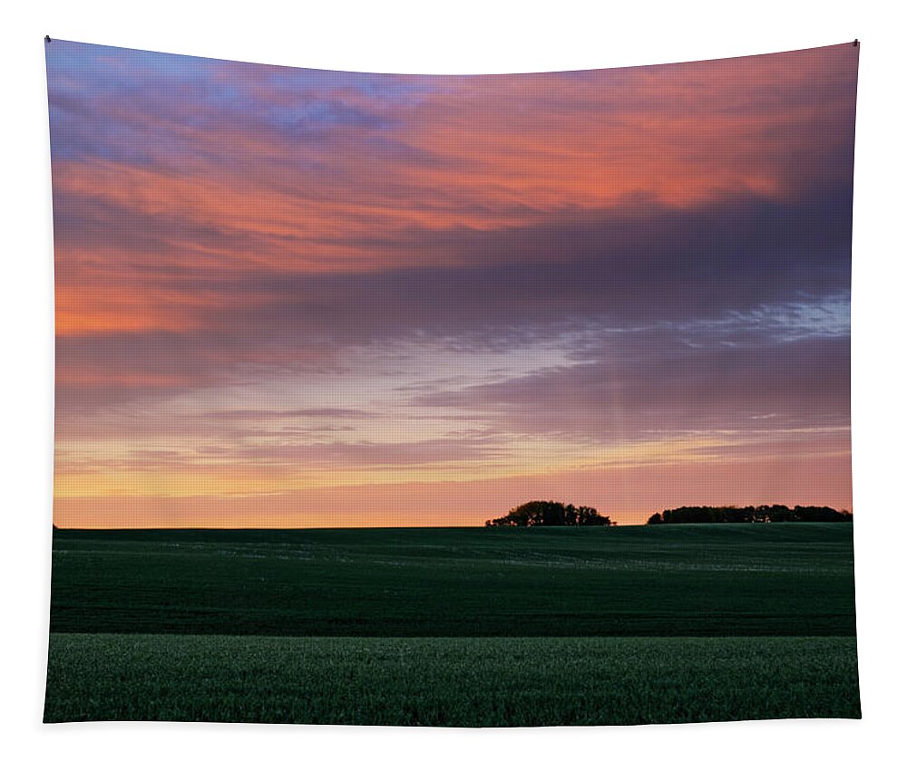 Sunrise Tapestry featuring the photograph Spring Crops by Dan Jurak