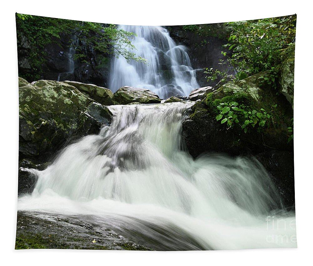 Tennessee Tapestry featuring the photograph Spruce Flats Falls 1 by Phil Perkins