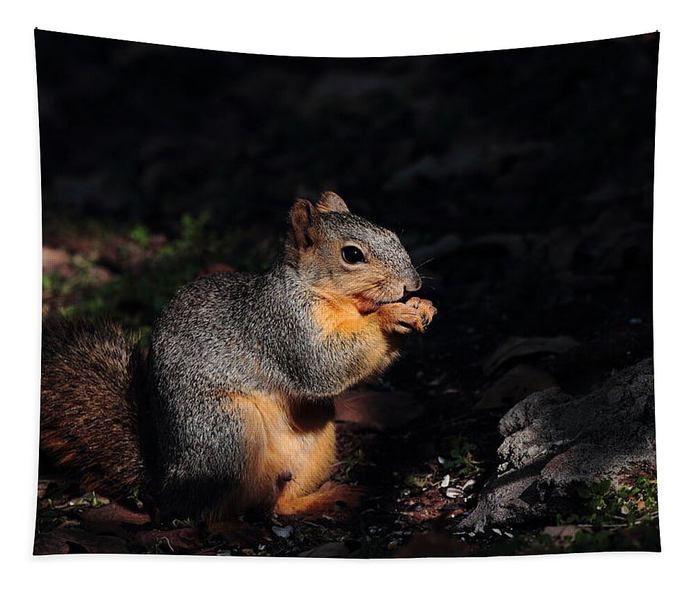Squirrel Tapestry featuring the photograph Squirrel 4037 by John Moyer