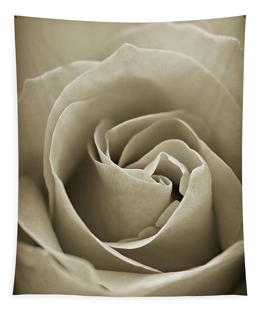 Sepia Rose Tapestry featuring the photograph Standard by Michelle Wermuth
