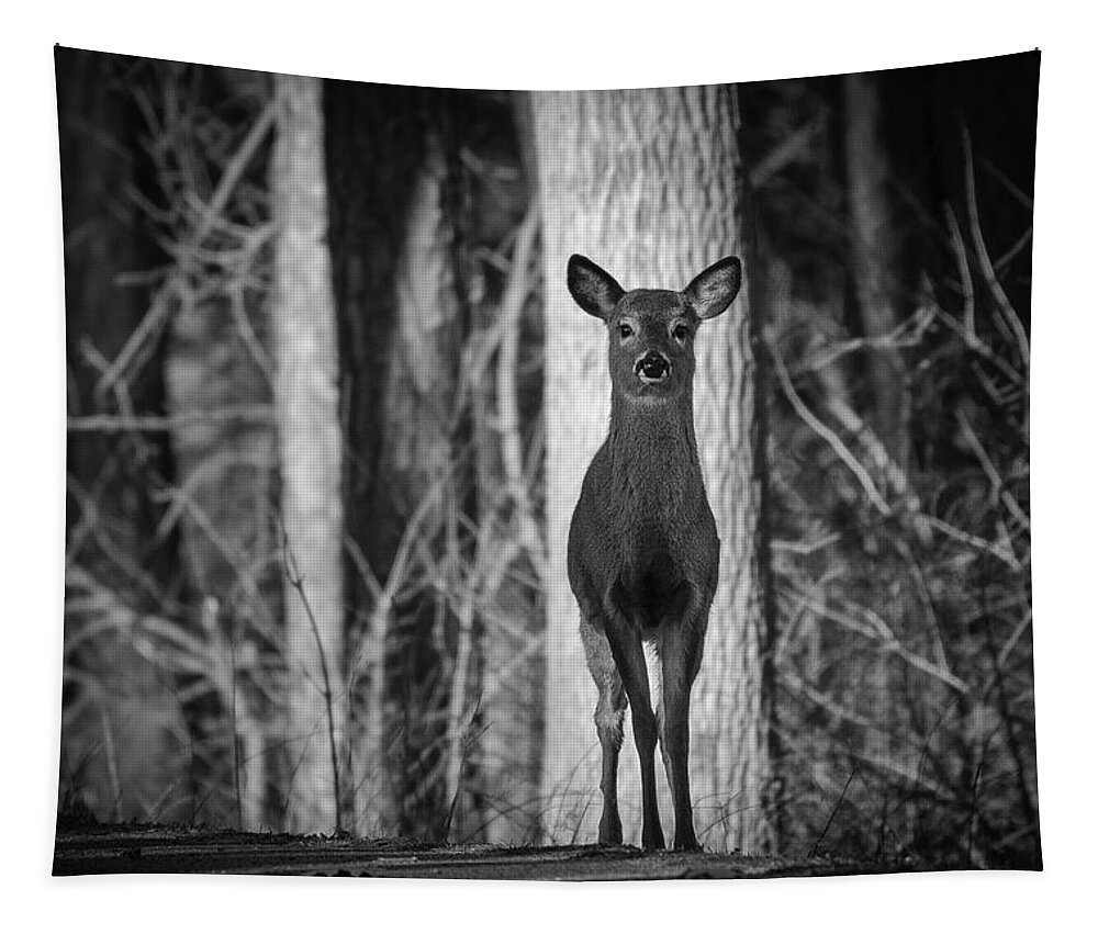 Deer Tapestry featuring the photograph Standing Tall by Michael Hubley