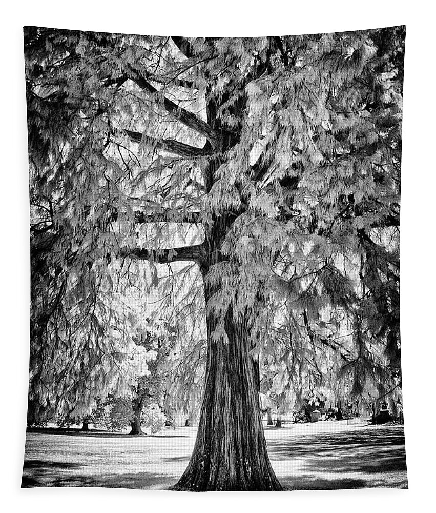 Infrared Tapestry featuring the photograph Standing Tall Old Tree - I R by Paul W Faust - Impressions of Light