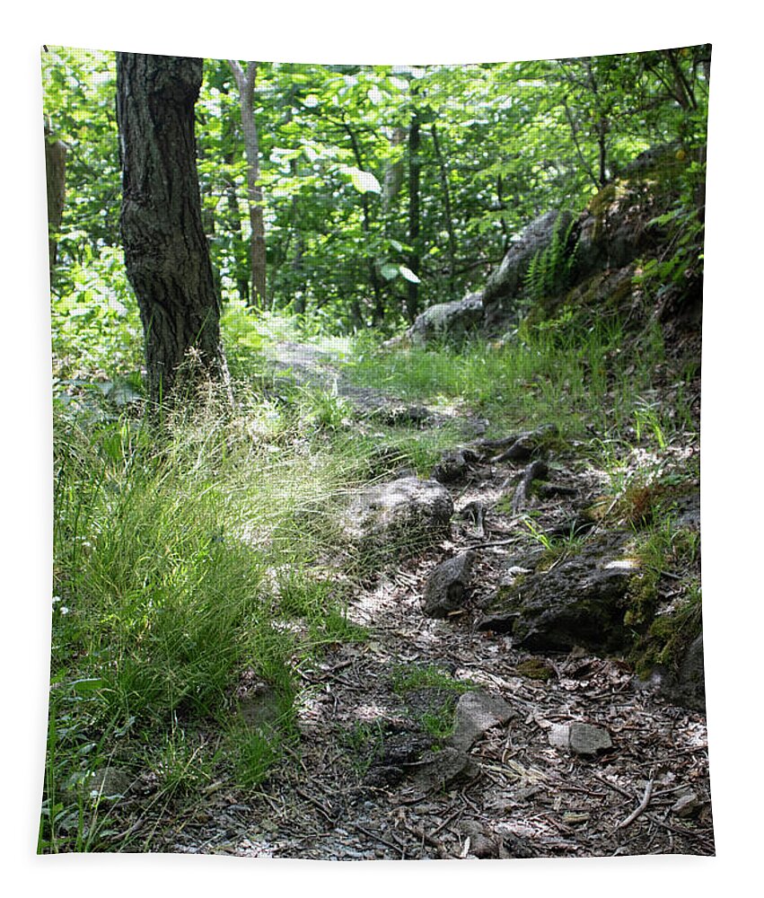 Photograph Tapestry featuring the photograph Steeped in Nature by Suzanne Gaff
