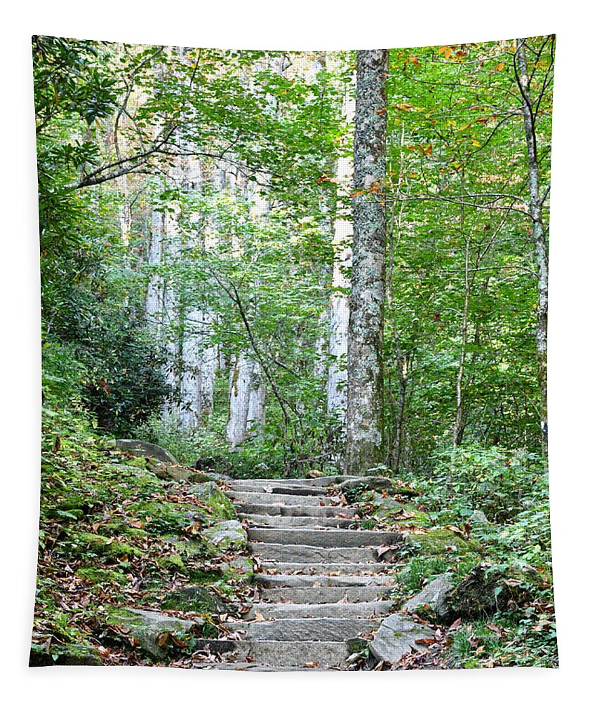 Tennessee Tapestry featuring the photograph Steps Up Into The Forest 1 by Phil Perkins