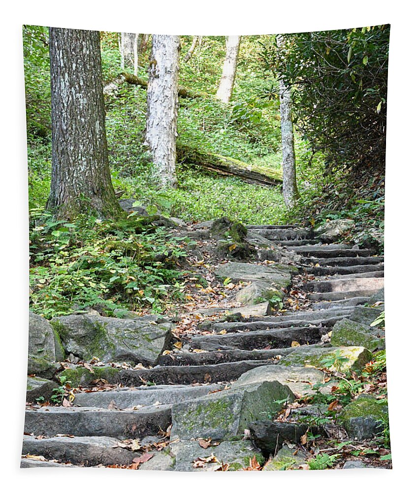 Tennessee Tapestry featuring the photograph Steps Up Into The Forest 2 by Phil Perkins