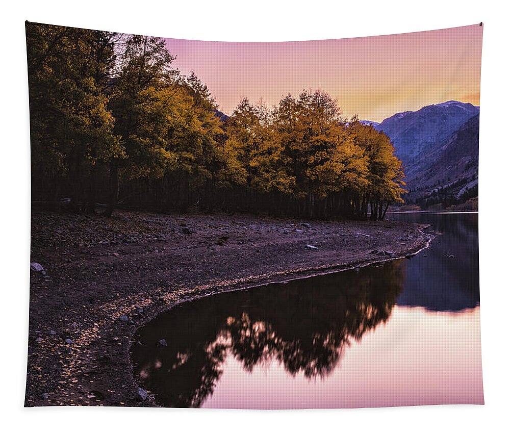 Nature Tapestry featuring the photograph Still Waters by Jason Roberts