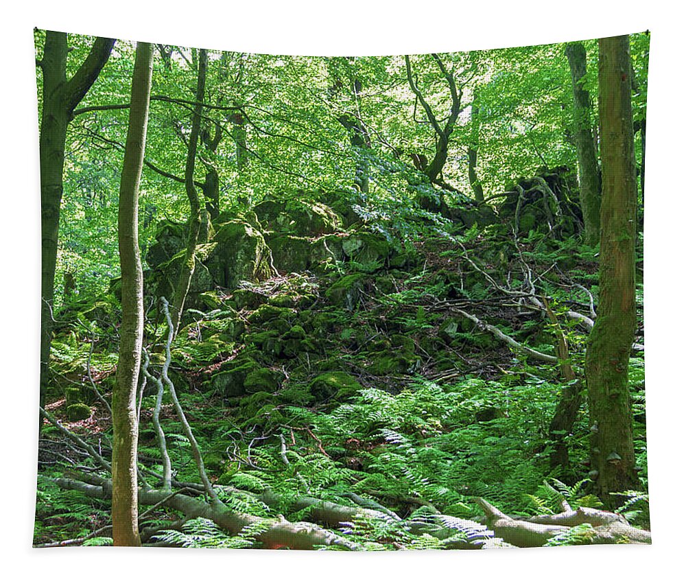 Forest Tapestry featuring the photograph Stones in a forest in Vogelsberg by Sun Travels