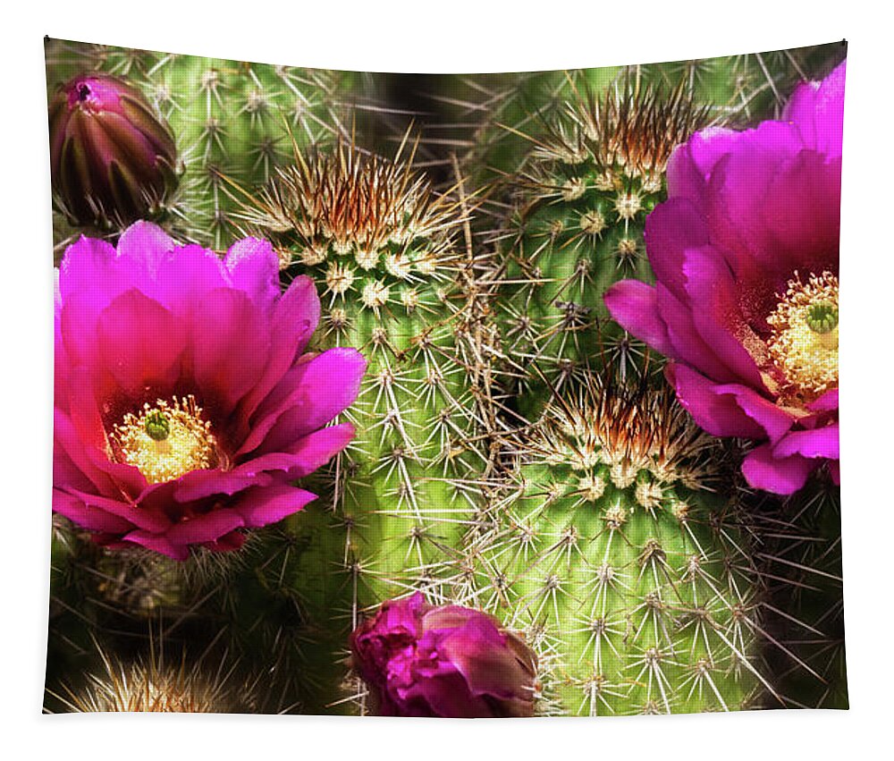 Strawberry Hedgehog Cactus Tapestry featuring the photograph Strawberry Hedgehog Flowers by Saija Lehtonen