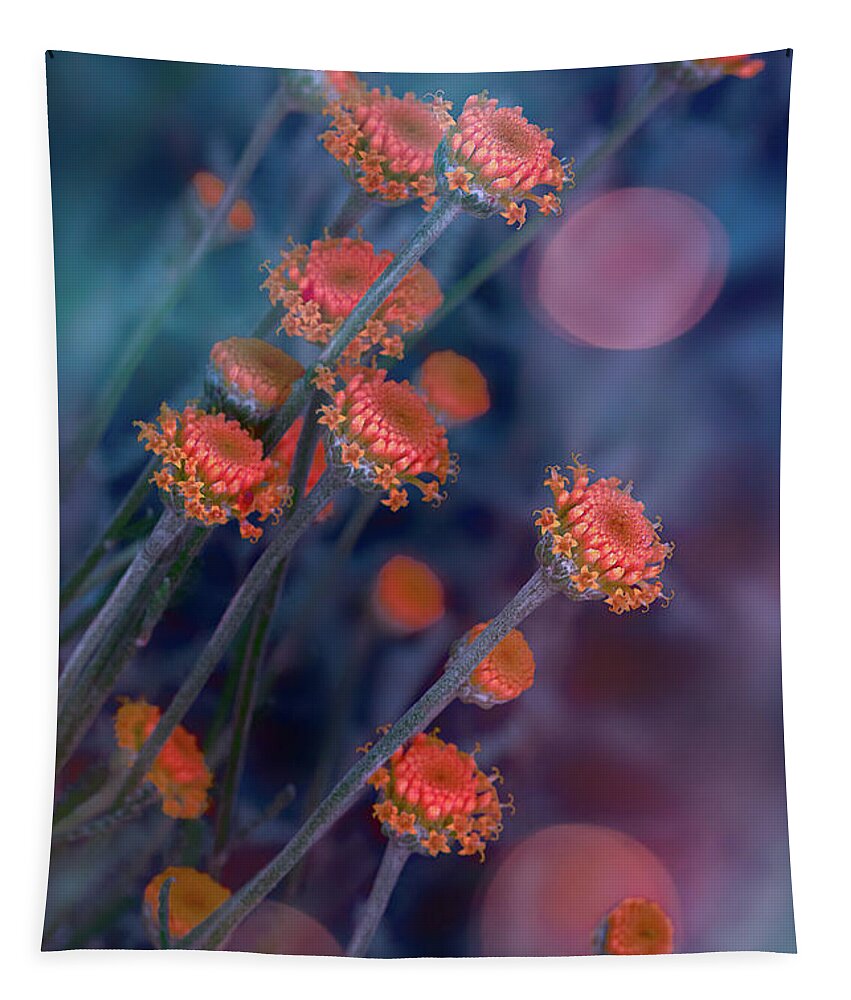 Strawflower Tapestry featuring the photograph Strawflowers by Susan Warren