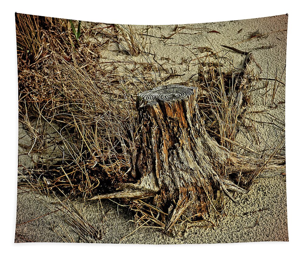 Stump Tapestry featuring the photograph Stump at the Beach by Maggy Marsh