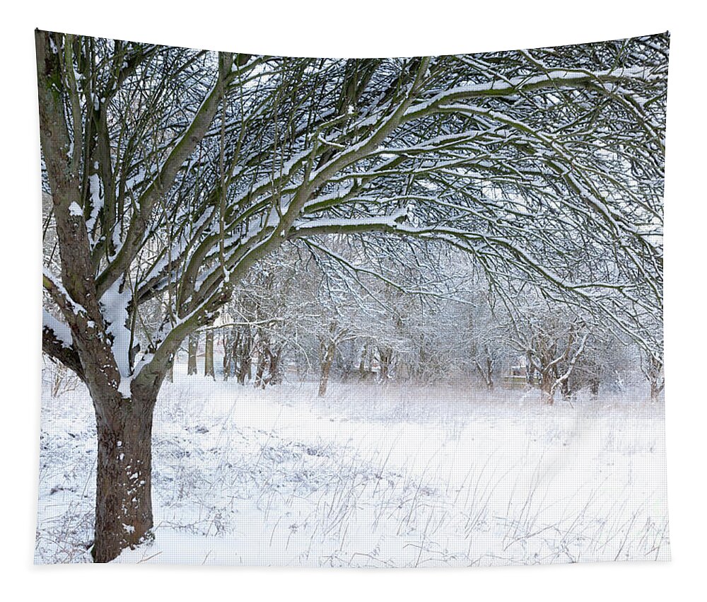 Norfolk Tapestry featuring the photograph Stunning forest snow winter scene by Simon Bratt