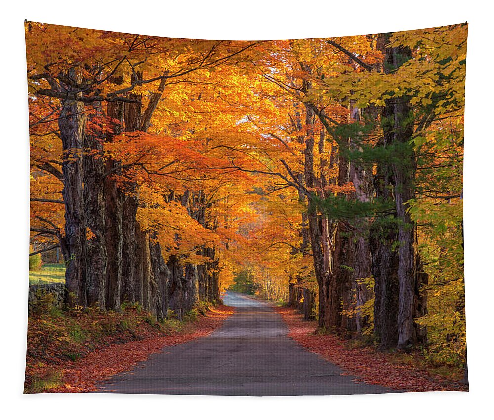 Sugar Tapestry featuring the photograph Sugar Hill Autumn Maple Road by White Mountain Images